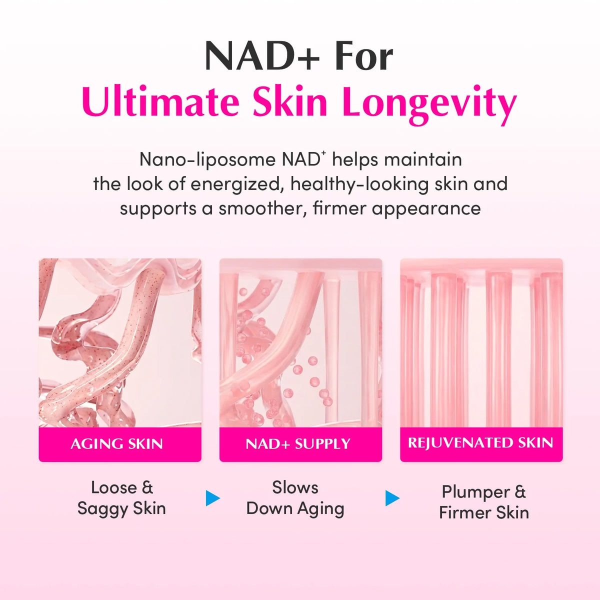 EQQUALBERRY NAD+ Peptide Boosting Cream 50ml