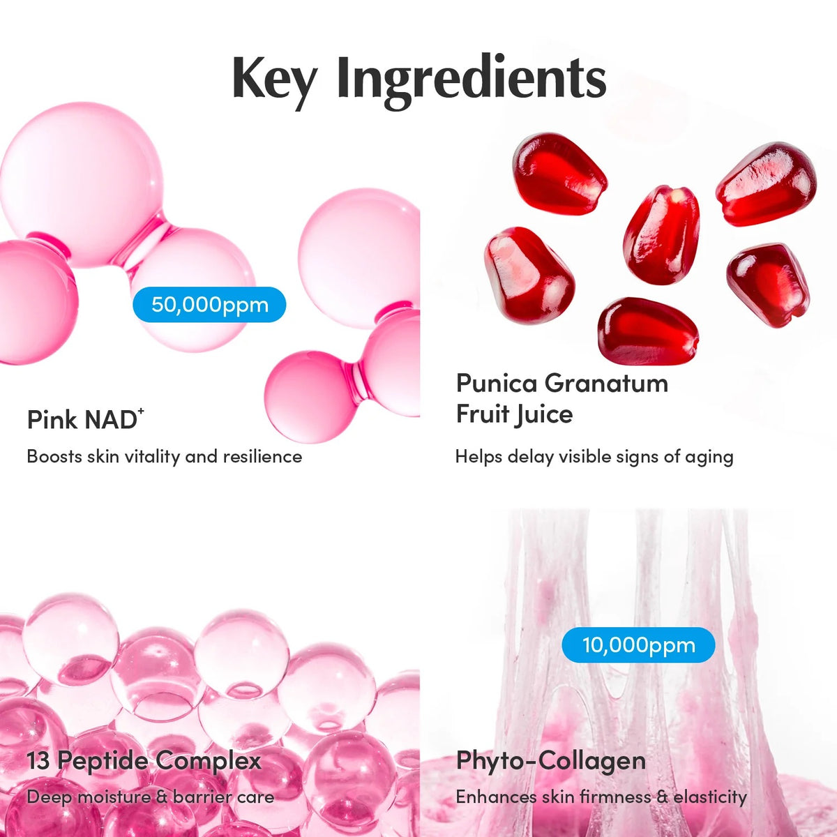 EQQUALBERRY NAD+ Peptide Boosting Cream 50ml