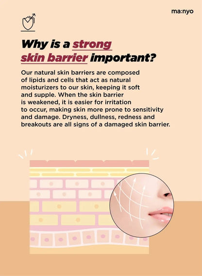 ma:nyo Bifida Biome Ampoule Toner 400ml benefits of a strong skin barrier for healthy skin