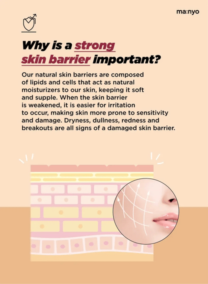 ma:nyo Bifida Biome Complex Ampoule 50ml importance of strong skin barrier highlighted with visuals