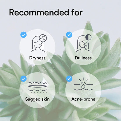 Recommended for dryness, dullness, sagged skin, and acne-prone skin for Abib Collagen Gel Mask Sedum Jelly 4 Sheets - Hydrating.