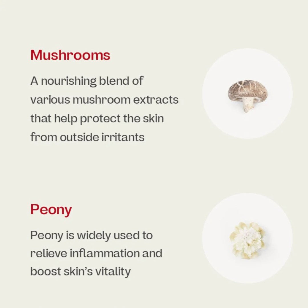 Nourishing blend of mushrooms and peony extracts for skin protection and vitality.