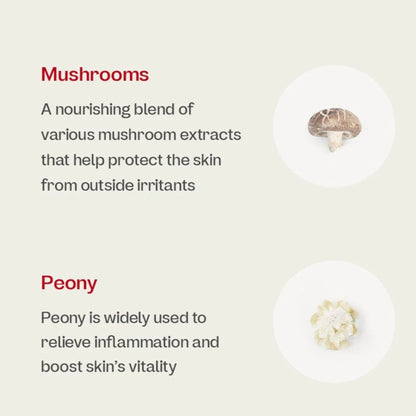 Nourishing blend of mushrooms and peony extracts for skin protection and vitality.