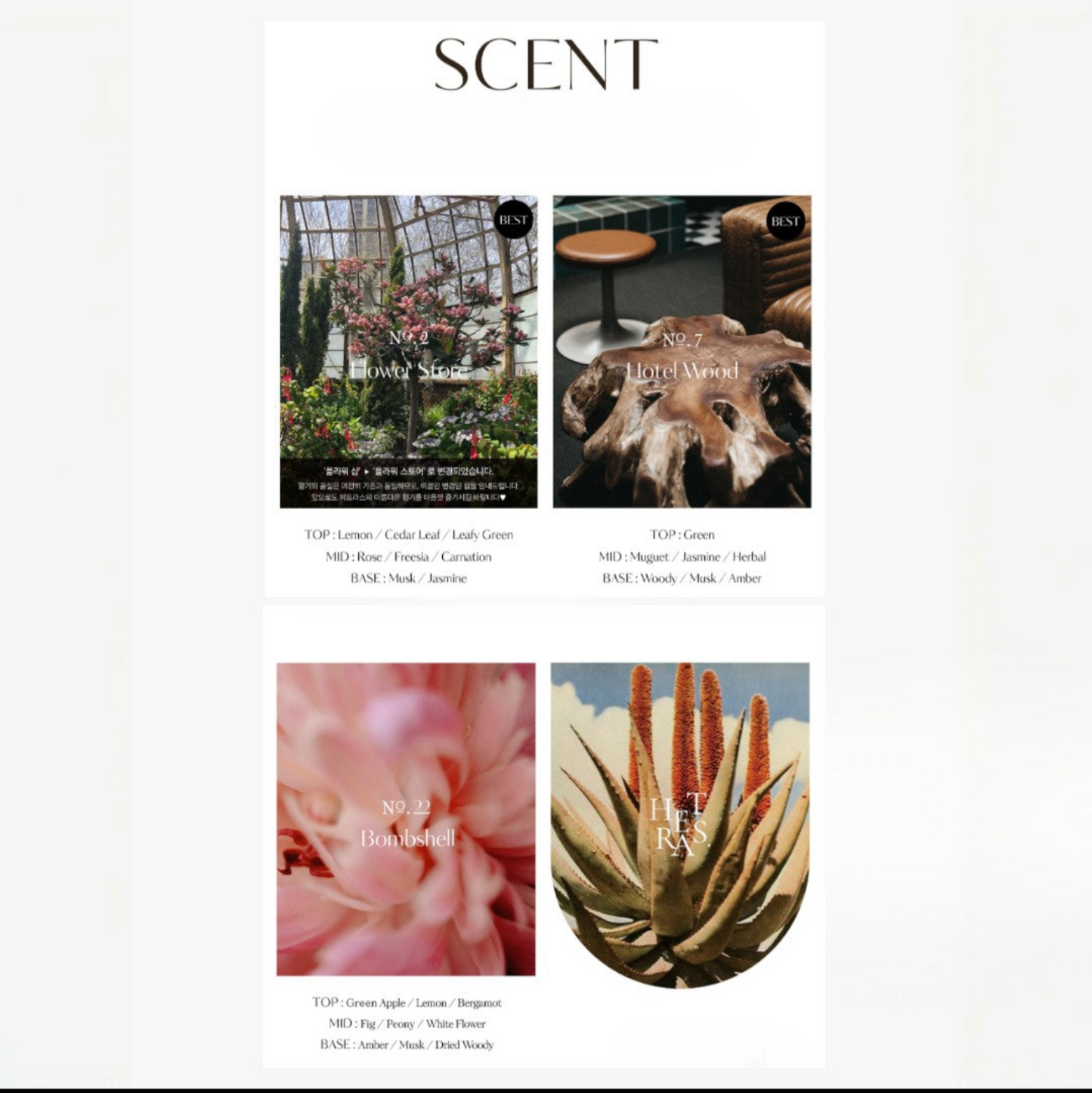 A vertical fragrance marketing sheet titled 'SCENT' with four scent panels and ingredient notes hetras lotion. The top-left panel shows a floral greenhouse scene labeled 'Scent of the Season'; the top-right shows a wood-toned interior scene labeled 'Wooden Notes'; the bottom-left is a soft pink floral close-up labeled 'Soft Pink Floral'; the bottom-right shows an aloe plant panel labeled 'Aloe Vera'.