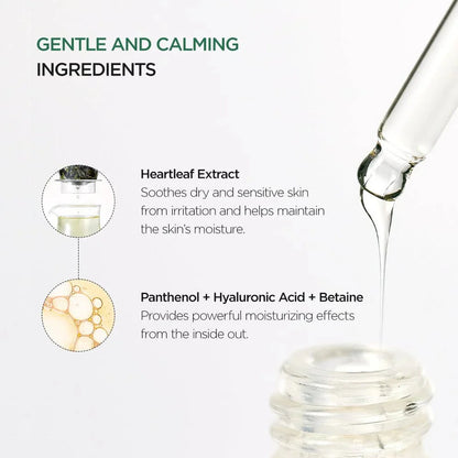 Anua HEARTLEAF 80% MOISTURE SOOTHING AMPOULE 30ml – Skin Care | Korean Skincare Canada - VGLE