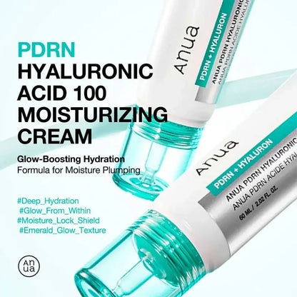 Anua PDRN Hyaluronic Acid 100 Moisturizing Cream 60ml – Skin Care | Korean Skincare Canada - VGLE