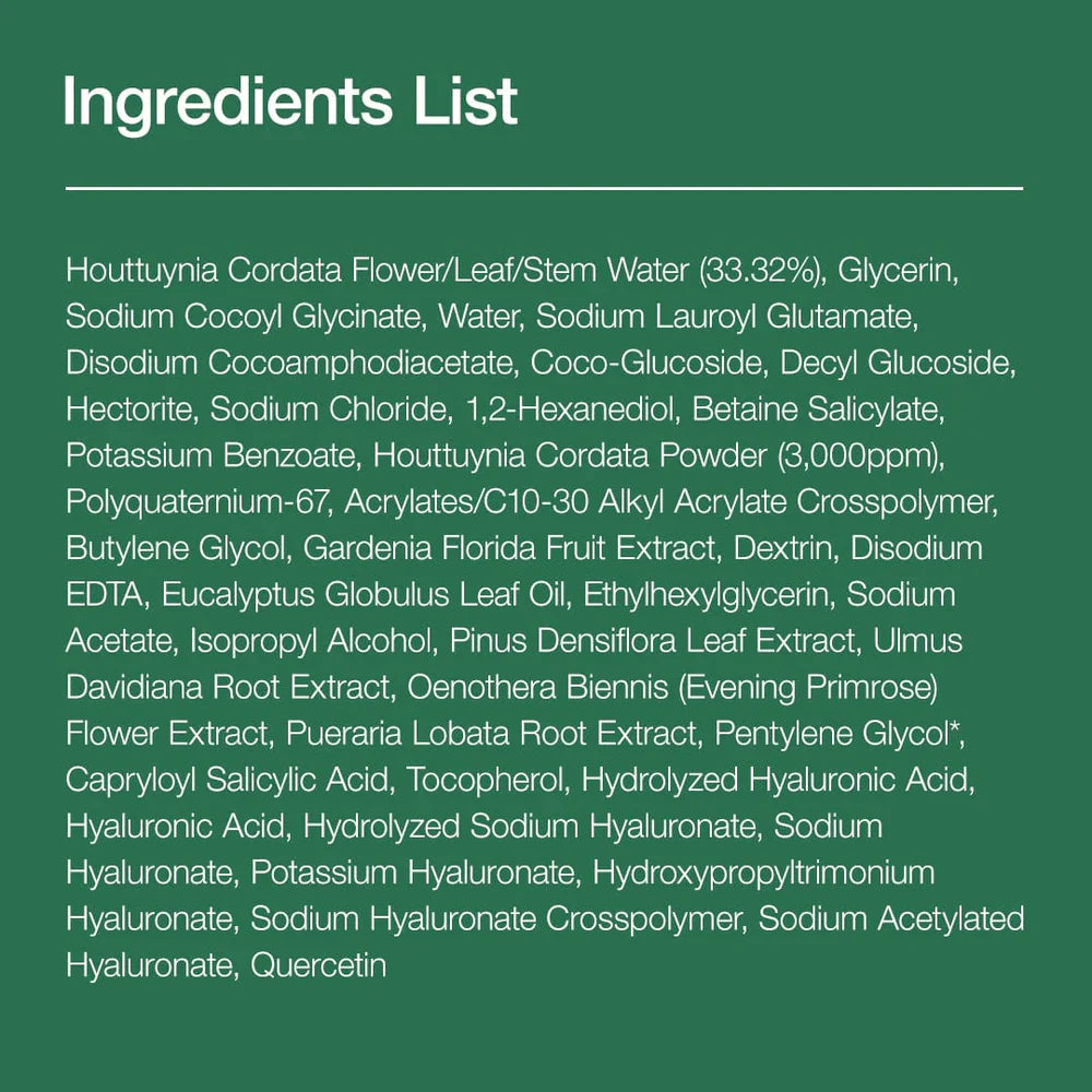 Anua Heartleaf Quercetinol Pore Deep Cleansing Foam 150ml Anua